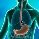 February 2023 Updates